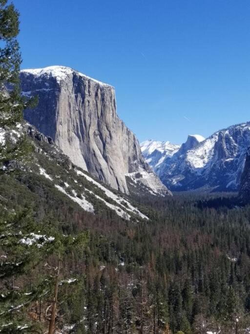 Hébergement de vacances Acorn - Charming Place, Your Getaway To Yosemite, Bass
